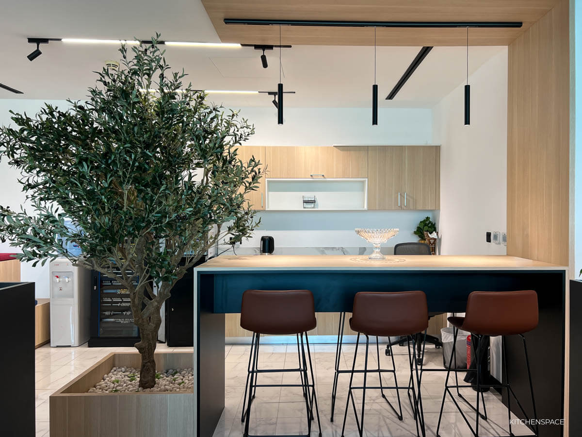 Modern Wood Tone Office Pantry